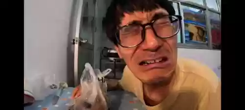 王者荣耀小鸟伏特阵容搭配(小蜜蜂vitality最新阵容)插图