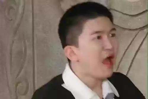 张大大旅行综艺阵容搭配(迪丽热巴单独旅游的综艺)插图8