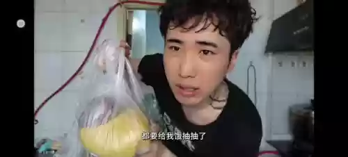 王者荣耀小鸟伏特阵容搭配(小蜜蜂vitality最新阵容)插图1