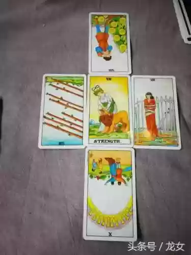 龙女塔罗推荐阵容搭配(塔罗牌推荐)插图3