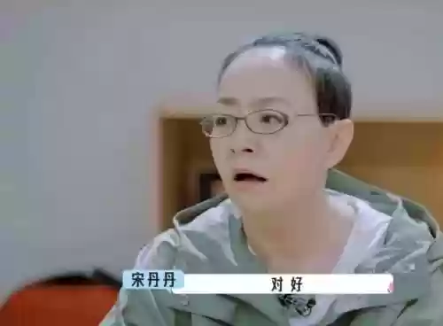 张大大旅行综艺阵容搭配(迪丽热巴单独旅游的综艺)插图1