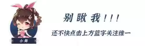 魂师阵容魂环搭配(魂师对决魂环最佳搭配)插图