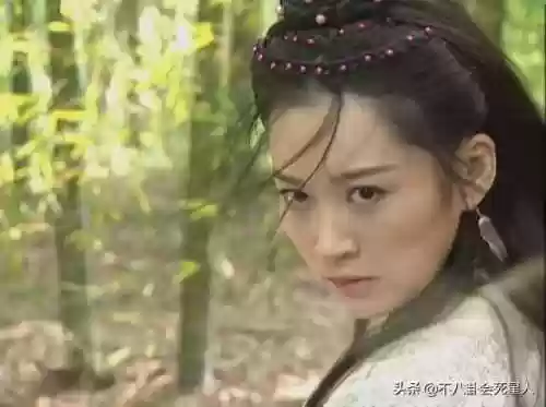 笑傲江湖李亚鹏全明星阵容(新笑傲江湖最新侠客搭配)插图8