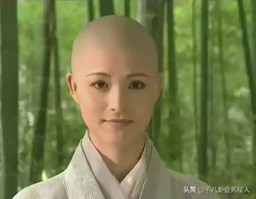 笑傲江湖李亚鹏全明星阵容(新笑傲江湖最新侠客搭配)插图12