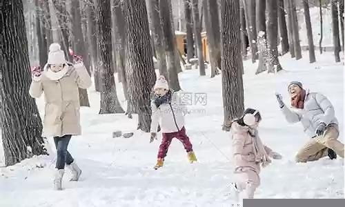 打雪仗的阵容搭配插图
