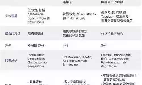 卡尔玛阵容搭配adc插图