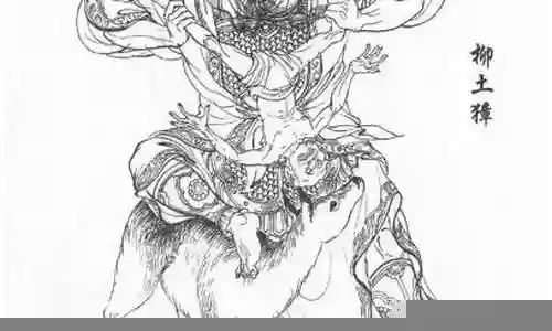 柳士獐阵容搭配插图