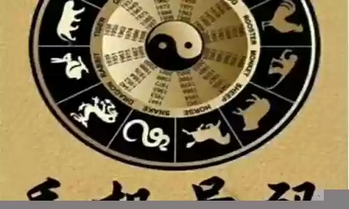 五鬼组合阵容搭配插图