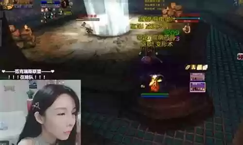 魔兽世界软趴趴阵容搭配插图