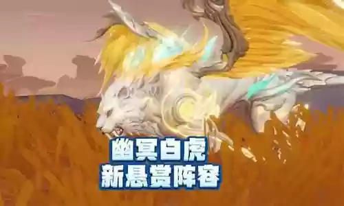 白虎暗器悬赏阵容搭配插图