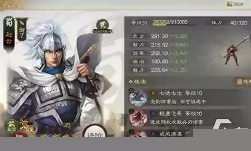 孙坚姜维阵容搭配攻略插图