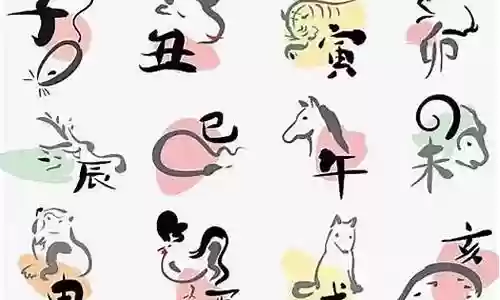 阵容搭配是什么生肖插图