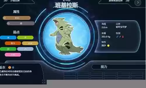 宝可梦黑白冠军阵容搭配插图