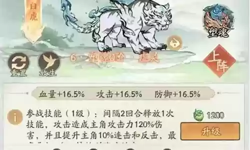 白虎搭配啥阵容最好插图