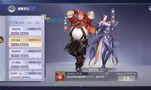 猫阵容搭配悬赏插图
