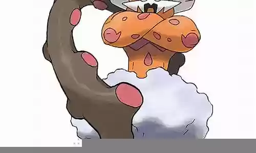 神奇宝贝常见阵容搭配插图