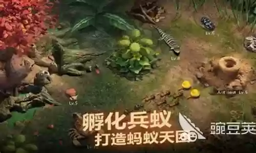 兵蚁阵容搭配插图