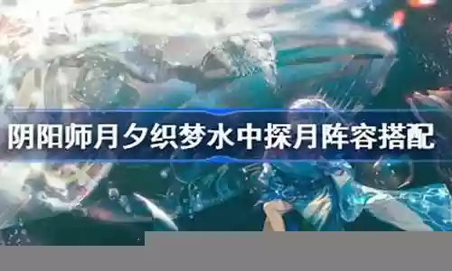 真月夕阵容搭配插图