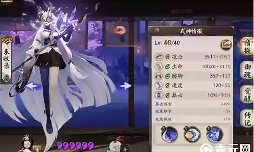 泷夜叉姬阵容怎么搭配插图