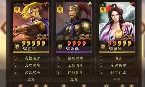 武锋sp袁绍阵容搭配插图