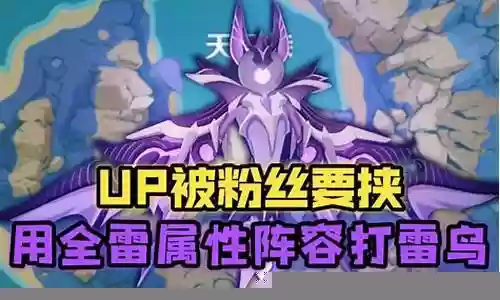打雷鸟的阵容怎么搭配插图