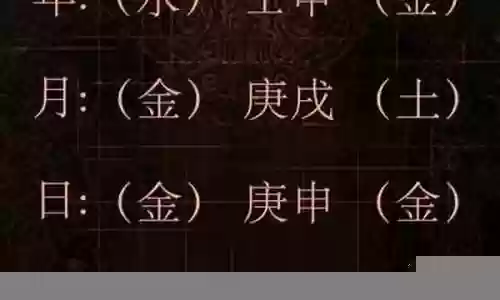 宠物属于五行什么技能插图