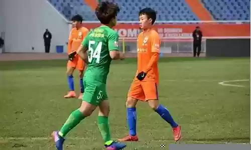 鲁能2012赛季阵容名单插图