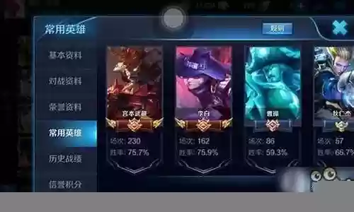 什么阵容适合辅助打野插图