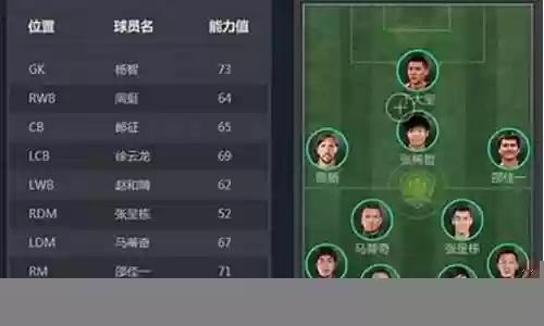 北京国安经典阵容名单插图