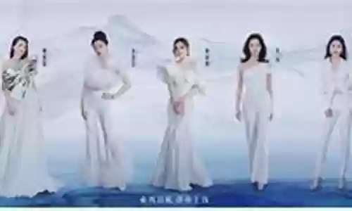 姐姐3宁静阵容名单插图