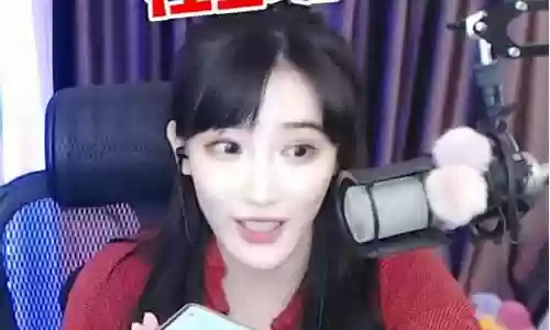 豚豚大魔王阵容插图
