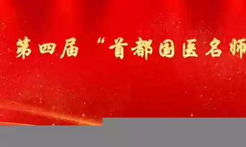 最佳阵容 名师指导插图