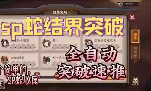 大公主不见岳阵容搭配插图