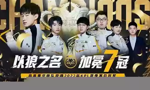 2018年狼队阵容插图