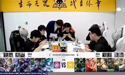 深度解析狼队阵容搭配图插图