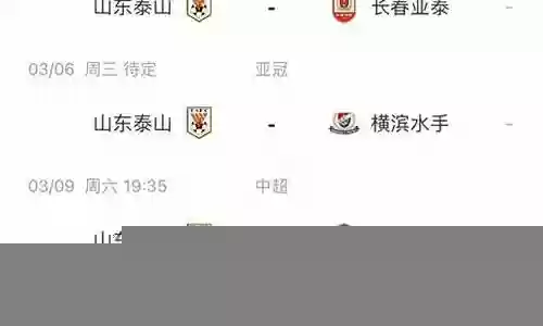 泰山亚冠阵容对比插图