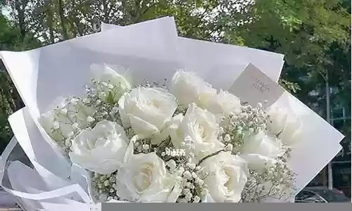 世界盒子花束搭配推荐阵容插图