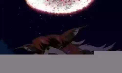 数码大冒险缅因猫阵容搭配插图
