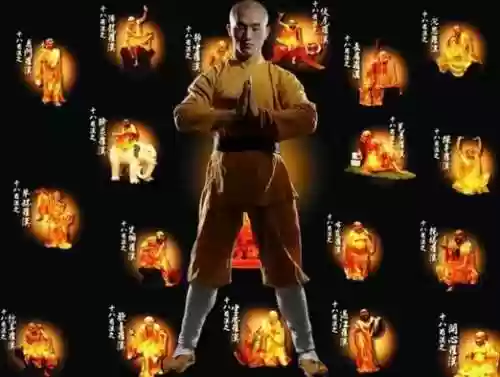 一龙阵容插图