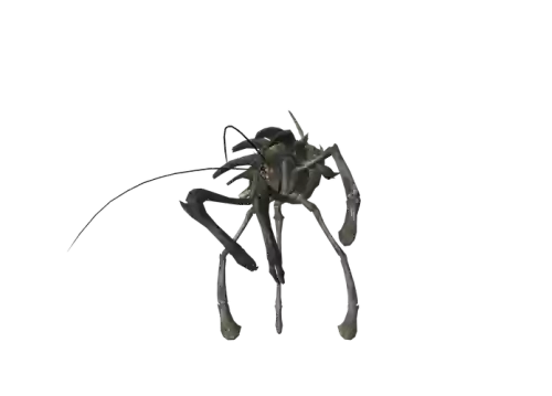 砦蟹装备素材插图1