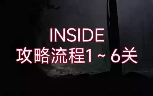 inside攻略全视频插图1