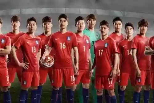 大阵容韩国插图1