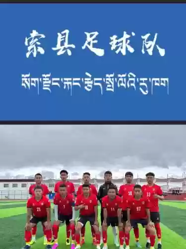 拉萨足球阵容插图1