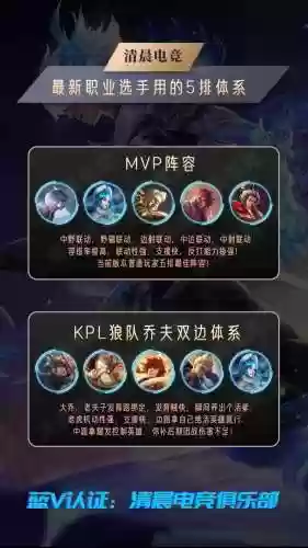 王者荣耀阵容组合上分快吗插图1