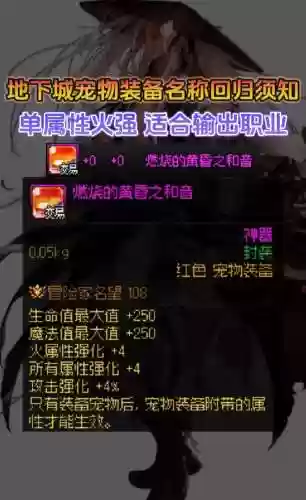 dnf冰沙宠物装备插图1