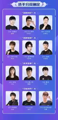 star瓜分阵容插图1