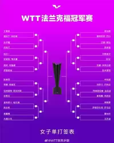 ftd冠军阵容插图1