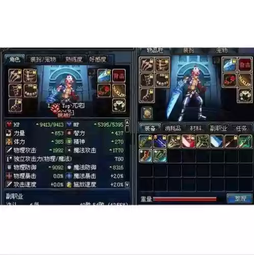 dnf冰沙宠物装备插图