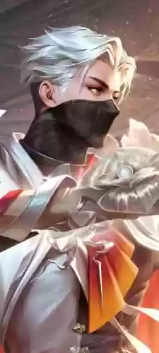 诸葛亮花木兰刺客阵容插图1