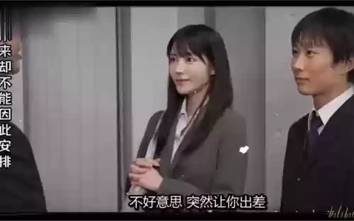 枫老师阵容插图1